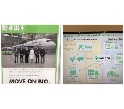 Japan Beautiful Life 2017  